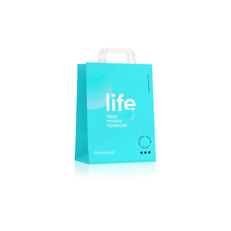 Пакет малый размер 32 х 22 х 12 см "Life"