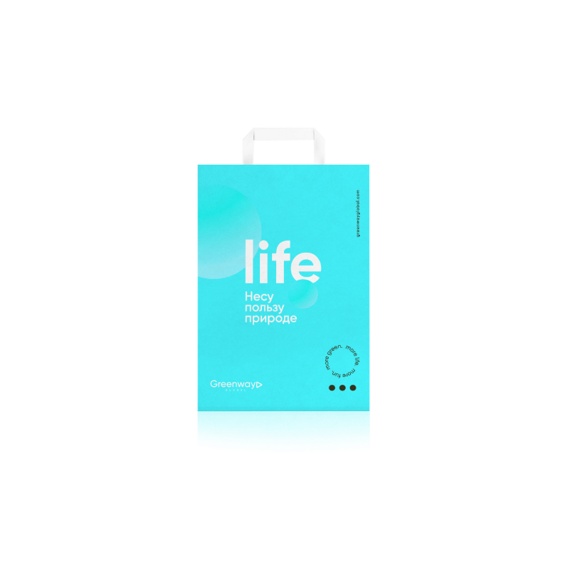 Пакет малый размер 32 х 22 х 12 см "Life"