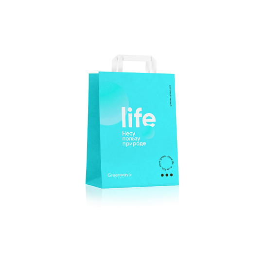 Пакет малый размер 32 х 22 х 12 см "Life"