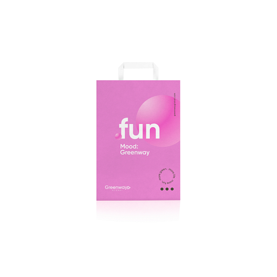 Пакет малый размер 32 х 22 х 12 см "Fun"